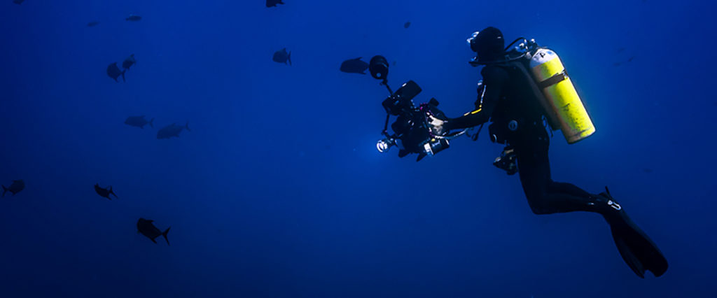 Liquid Motion Underwater Filmmakers Underwater Film Production Company, Professional Underwater Film Services