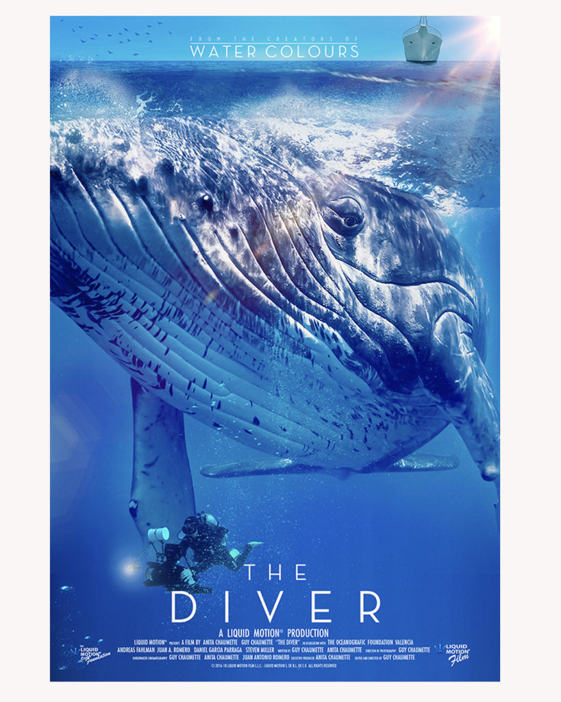 shop-The Diver movie Liquid Motion