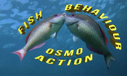 Fish Behaviour Course: Cine Camera or Osmo Action Camera?